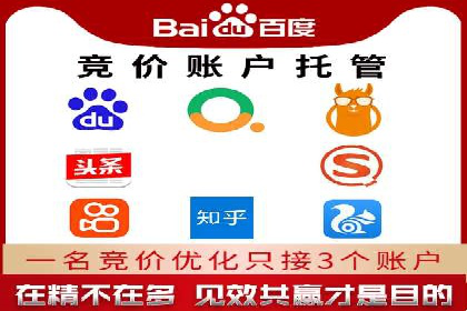 揭秘SEM竞价成功案例，助你提升ROI